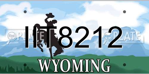 IIT8212 Wyoming License Plate