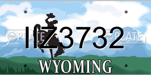 IIZ3732 Wyoming License Plate