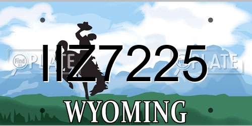 IIZ7225 Wyoming License Plate