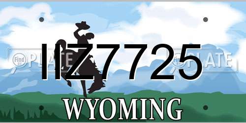 IIZ7725 Wyoming License Plate