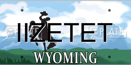 IIZETET Wyoming License Plate