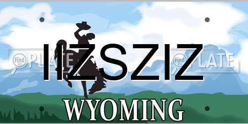IIZSZIZ Wyoming License Plate