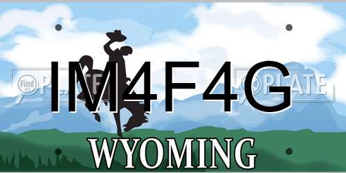 IM4F4G Wyoming License Plate