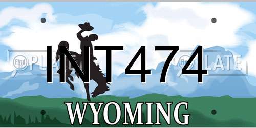 INT474 Wyoming License Plate
