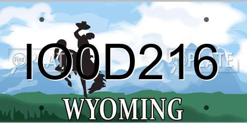 IO0D216 Wyoming License Plate