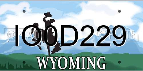 IO0D229 Wyoming License Plate