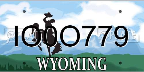 IO0O779 Wyoming License Plate