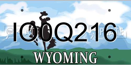 IO0Q216 Wyoming License Plate