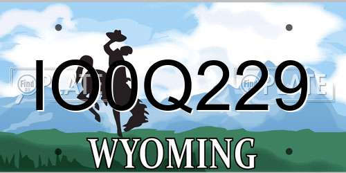 IO0Q229 Wyoming License Plate