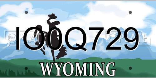 IO0Q729 Wyoming License Plate