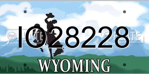 IO28228 Wyoming License Plate