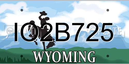 IO2B725 Wyoming License Plate