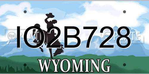 IO2B728 Wyoming License Plate