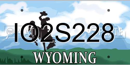 IO2S228 Wyoming License Plate