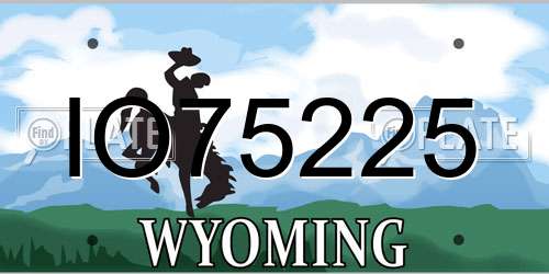 IO75225 Wyoming License Plate