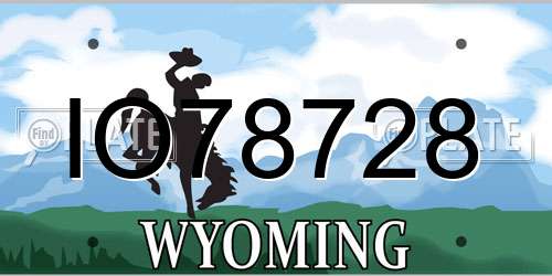 IO78728 Wyoming License Plate