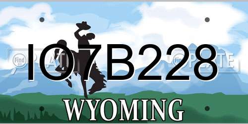 IO7B228 Wyoming License Plate