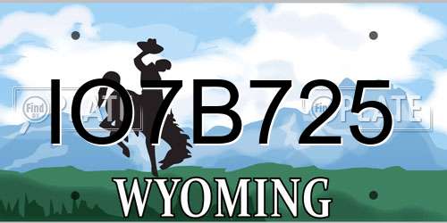 IO7B725 Wyoming License Plate