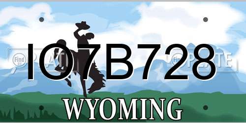 IO7B728 Wyoming License Plate