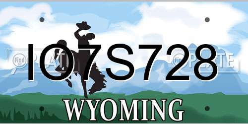 IO7S728 Wyoming License Plate