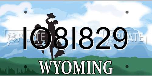 IO8I829 Wyoming License Plate