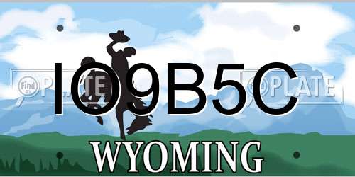 IO9B5C Wyoming License Plate