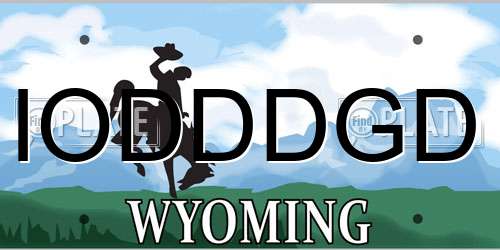 IODDDGD Wyoming License Plate
