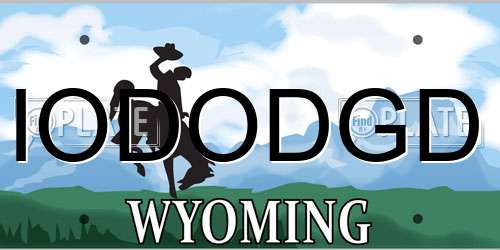 IODODGD Wyoming License Plate