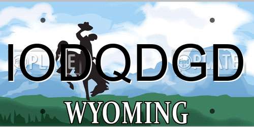 IODQDGD Wyoming License Plate