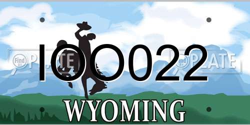 IOO022 Wyoming License Plate