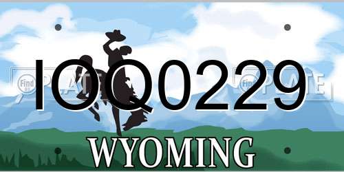 IOQ0229 Wyoming License Plate