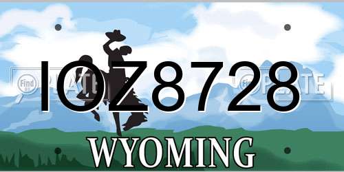 IOZ8728 Wyoming License Plate
