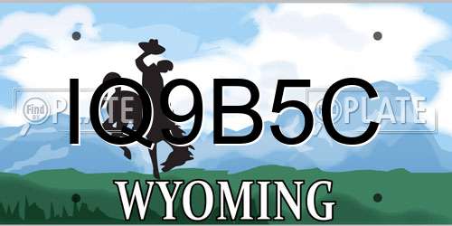 IQ9B5C Wyoming License Plate