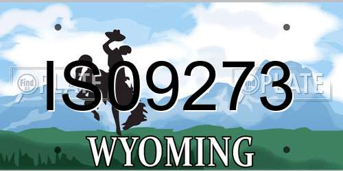 IS09273 Wyoming License Plate