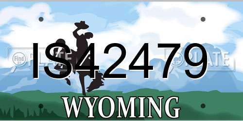 IS42479 Wyoming License Plate