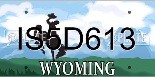 IS5D613 Wyoming License Plate