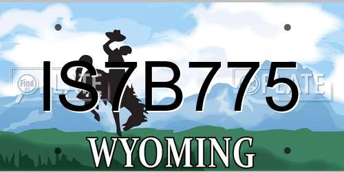 IS7B775 Wyoming License Plate