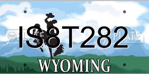 IS8T282 Wyoming License Plate