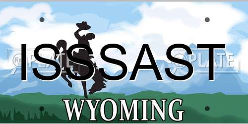 ISSSAST Wyoming License Plate