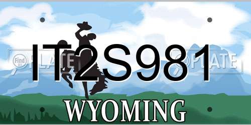 IT2S981 Wyoming License Plate