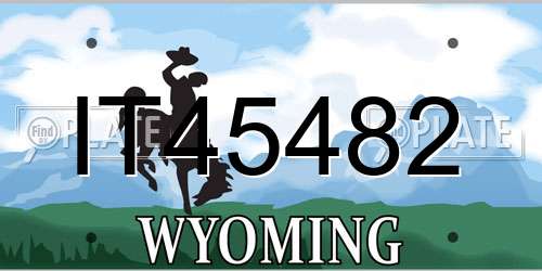 IT45482 Wyoming License Plate