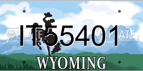 IT55401 Wyoming License Plate