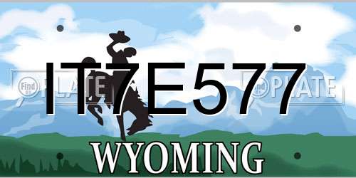 IT7E577 Wyoming License Plate