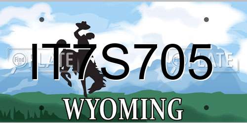 IT7S705 Wyoming License Plate