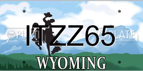 ITZZ65 Wyoming License Plate