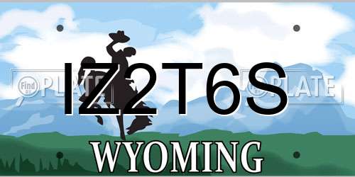 IZ2T6S Wyoming License Plate