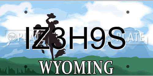 IZ3H9S Wyoming License Plate