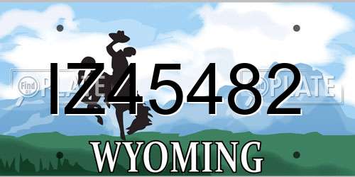 IZ45482 Wyoming License Plate