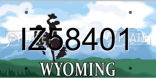 IZ58401 Wyoming License Plate