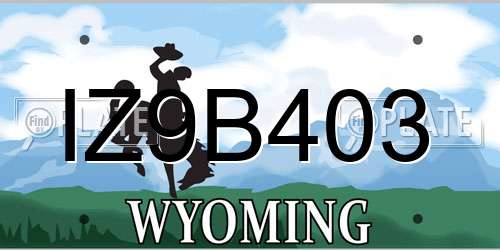 IZ9B403 Wyoming License Plate